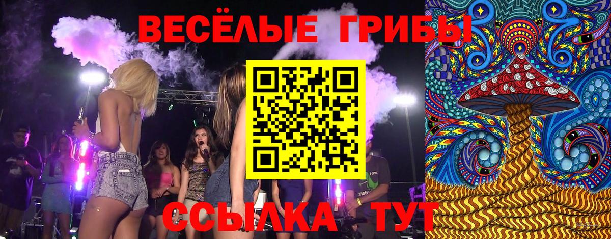 Алейск  Псилоцибиновые грибы Psilocybine cubensis  Вход с VPN  Псилоцибиновые грибы Psilocybine cubensis 
