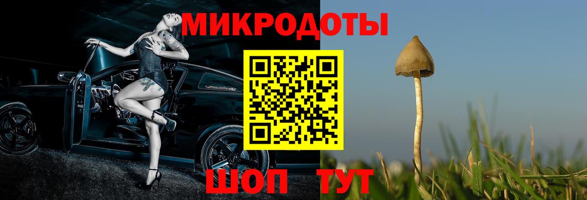 Псилоцибиновые грибы мицелий Алейск